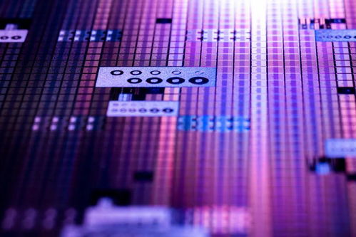 歐司朗戰(zhàn)略入股bolb，深化UVC技術(shù)布局引領(lǐng)行業(yè)革新